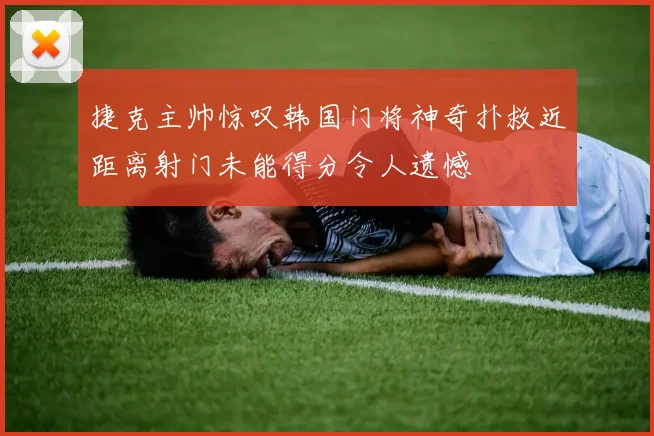 捷克主帅惊叹韩国门将神奇扑救近距离射门未能得分令人遗憾
