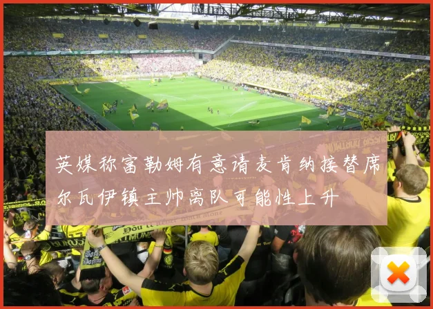 英媒称富勒姆有意请麦肯纳接替席尔瓦伊镇主帅离队可能性上升